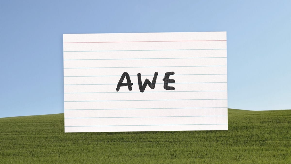 "Search for the awe in every day"