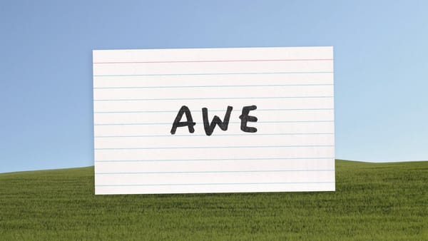 "Search for the awe in every day"